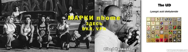 индика Алзамай